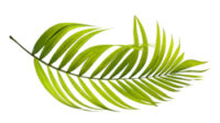 acoutech-GmbH_Sustainability-Recycling-leaf