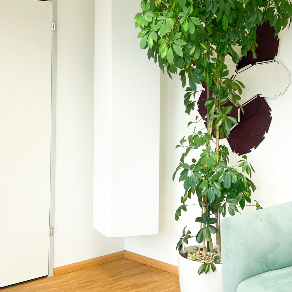 Akustik als Erfolgsfaktor im Büro