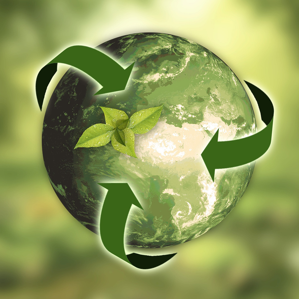 Développement durable et recyclage 1 Image symbolique du développement durable représentant de la terre verte, des flèches de recyclage et des feuilles vertes sur fond vert