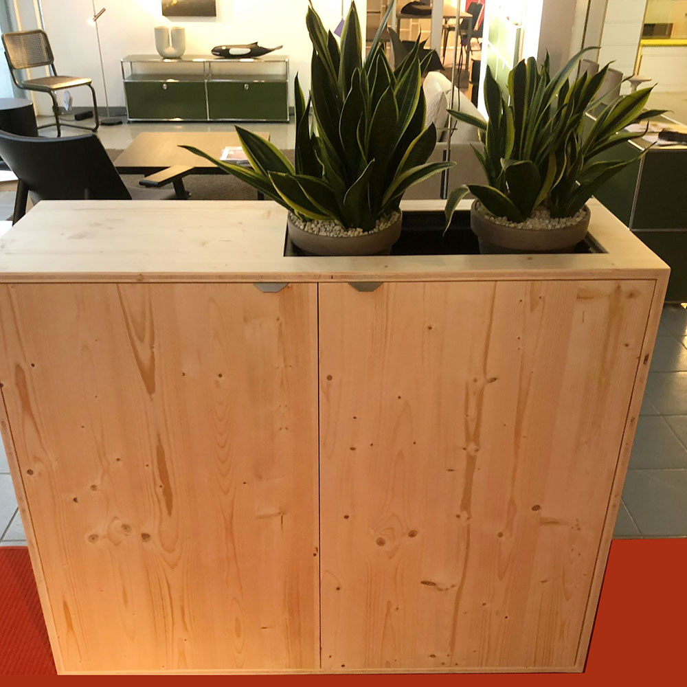 Bac à plantes acouPlanter 14 Structure végétalisable servant de cloison acoustique dans un showroom, canton de Berne